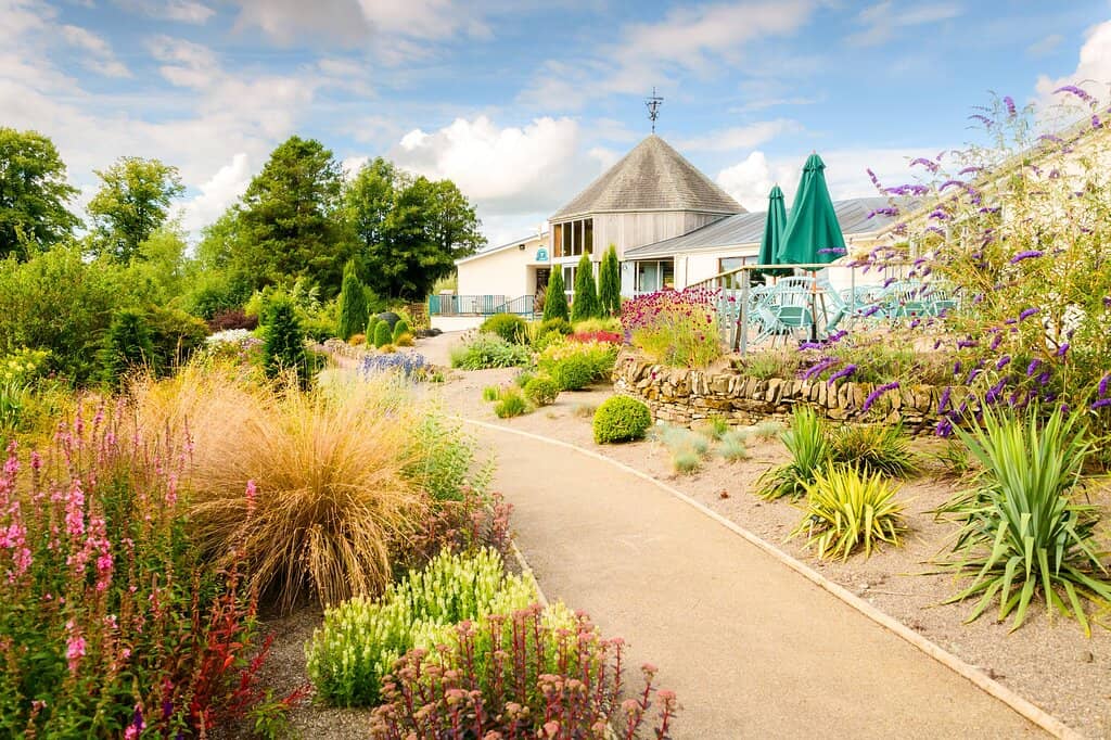 Herbaceous Borders