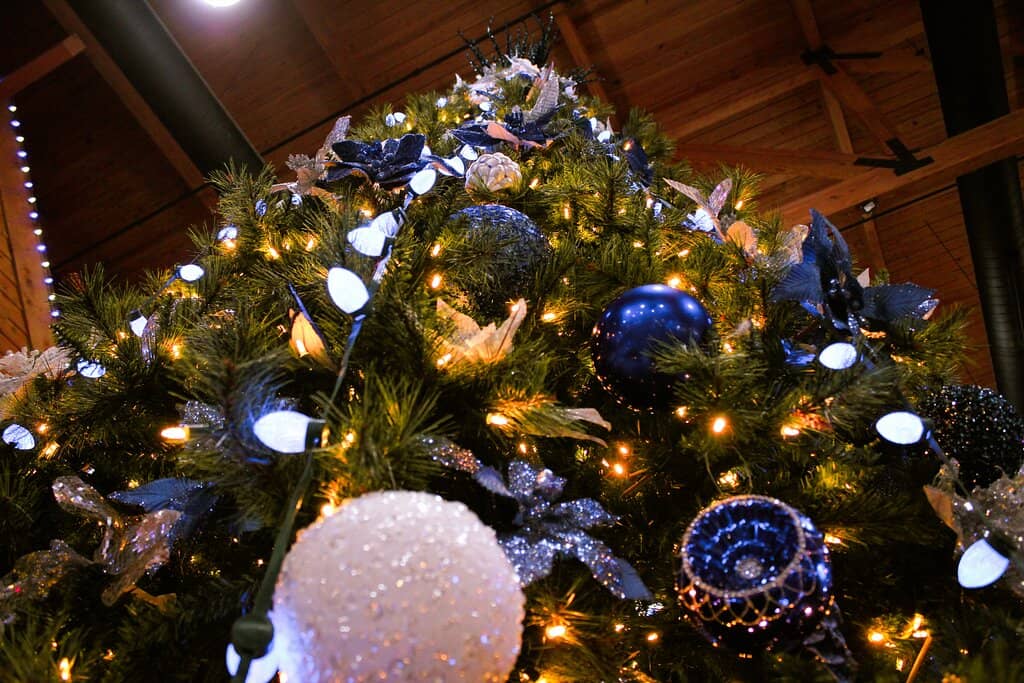 Premium Recliner Seating