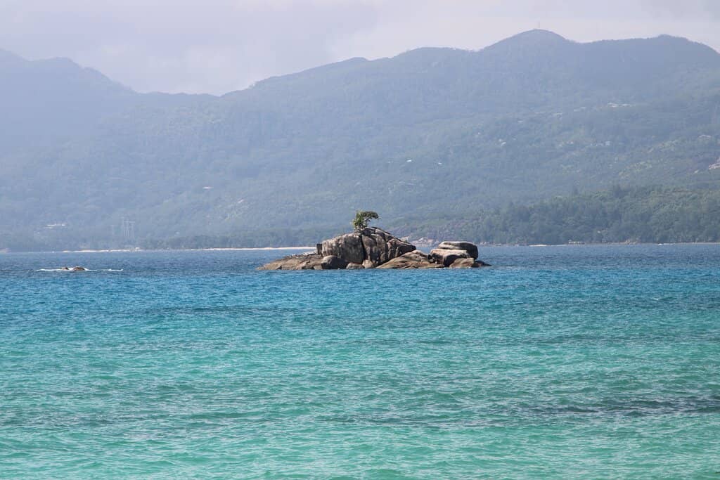 Tranquil Sandy Shores