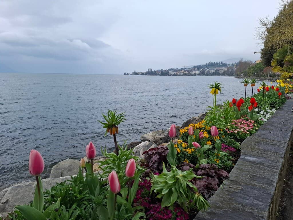 Woodworking and Couture