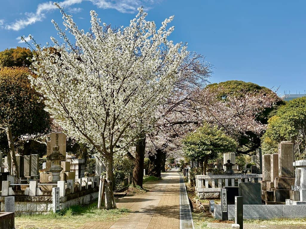 Japanese Accessories & Homeware