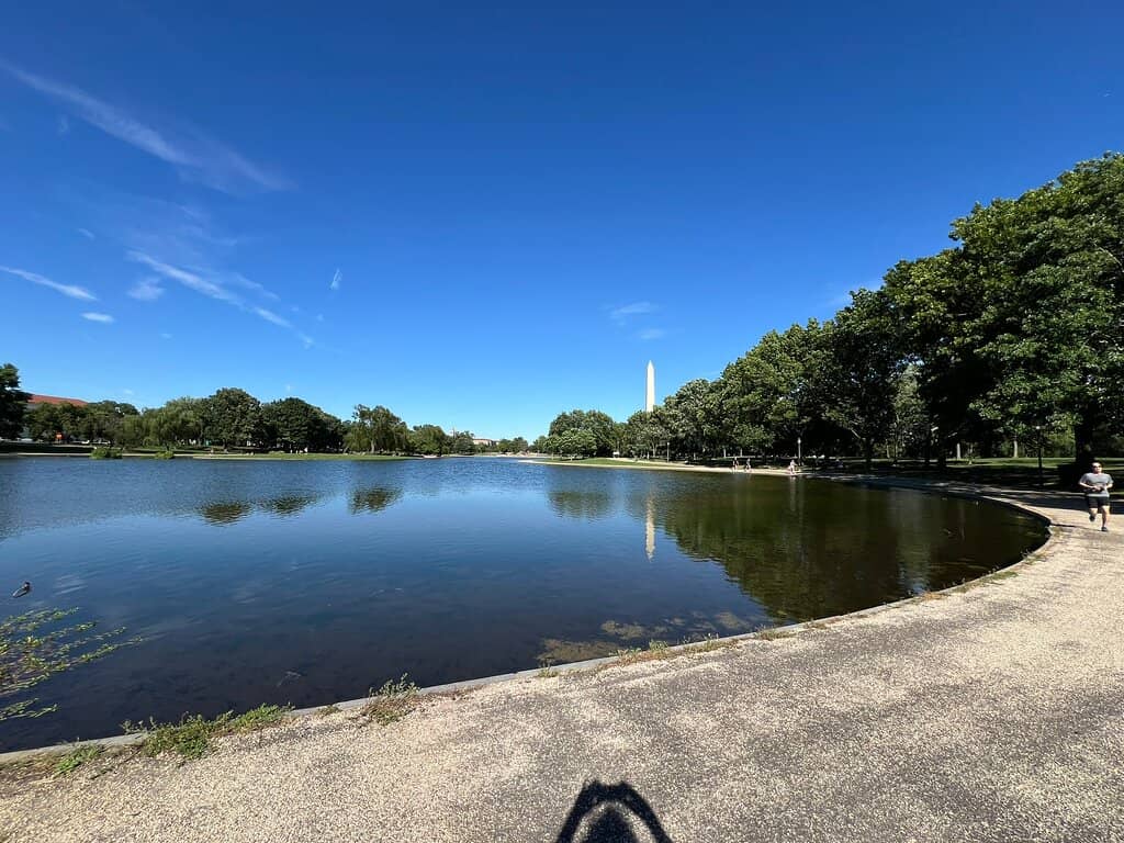 The Pond and Wildlife