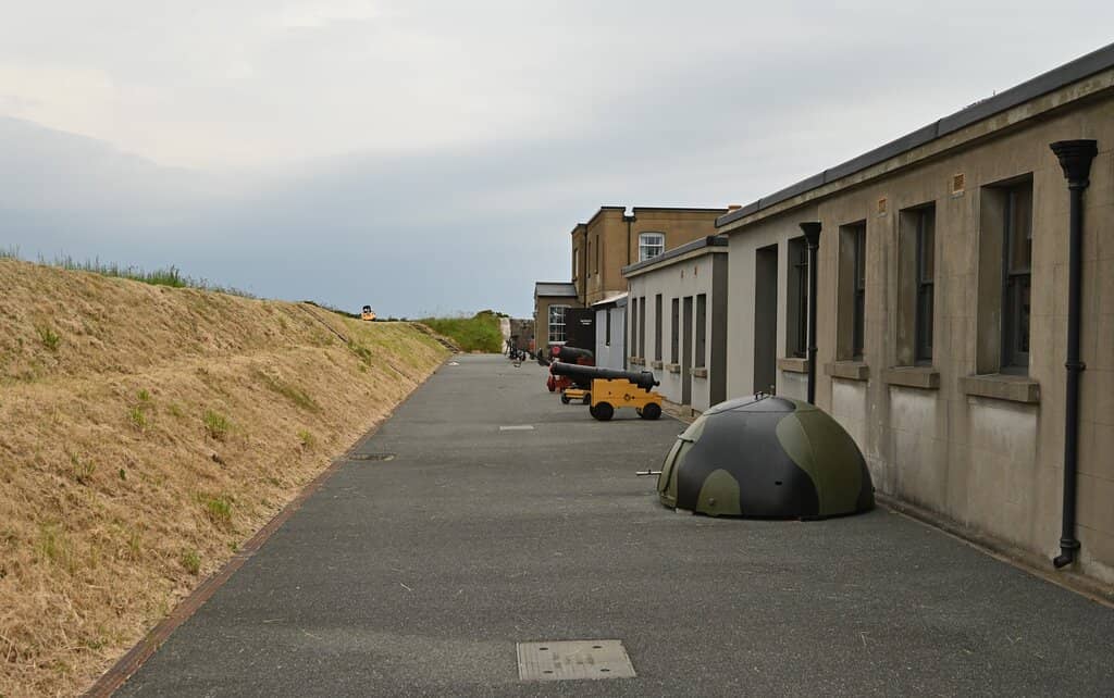 Knowledgeable Guided Tours