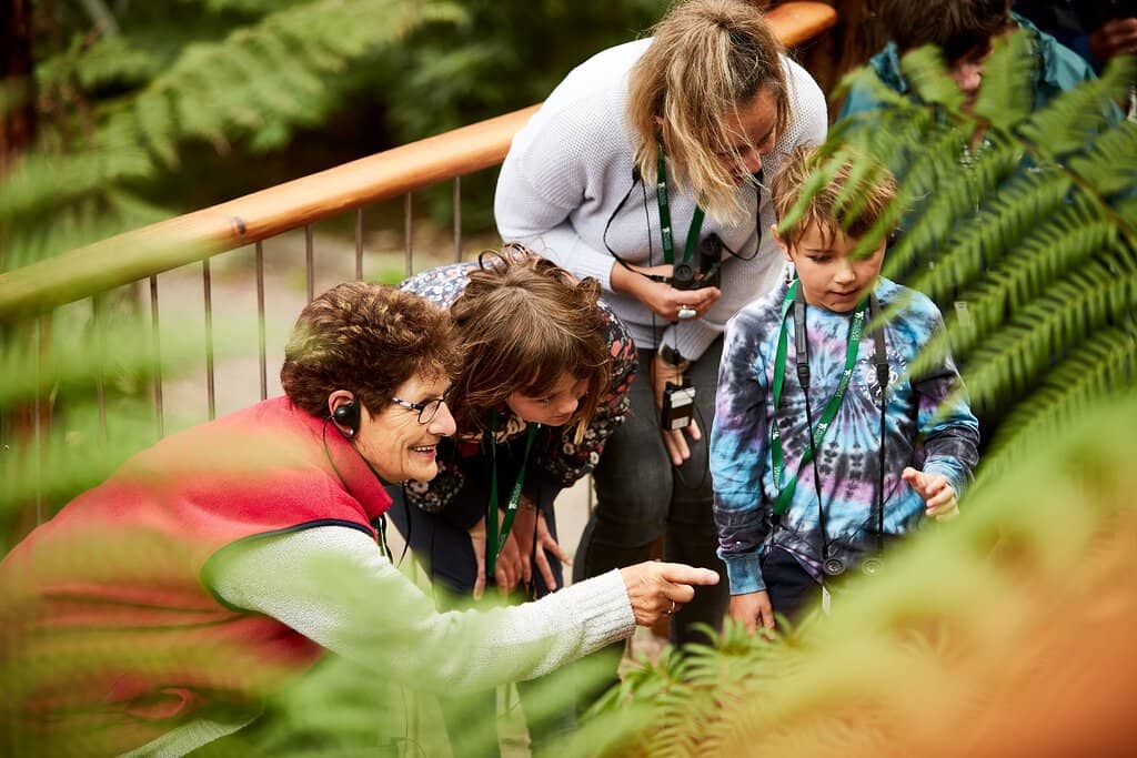 Diverse Native Wildlife