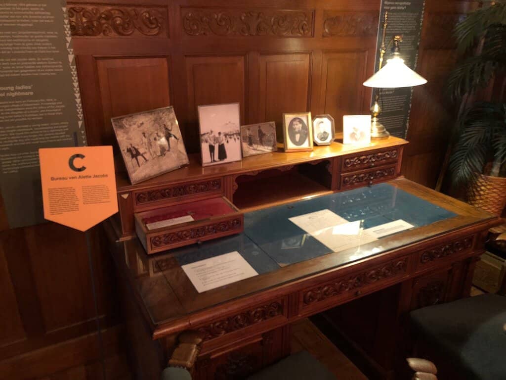 Vibrant Bird Collection