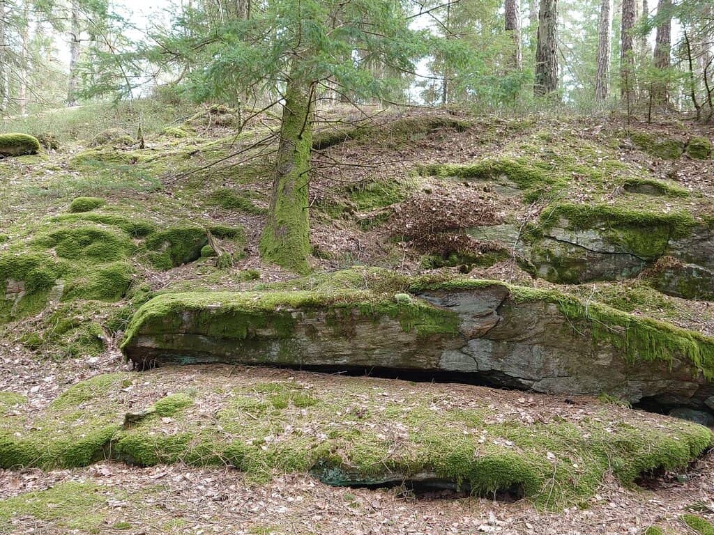 Vertical photo