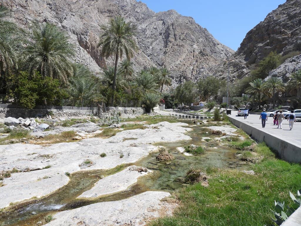 Lush Greenery and Mountain Backdrop