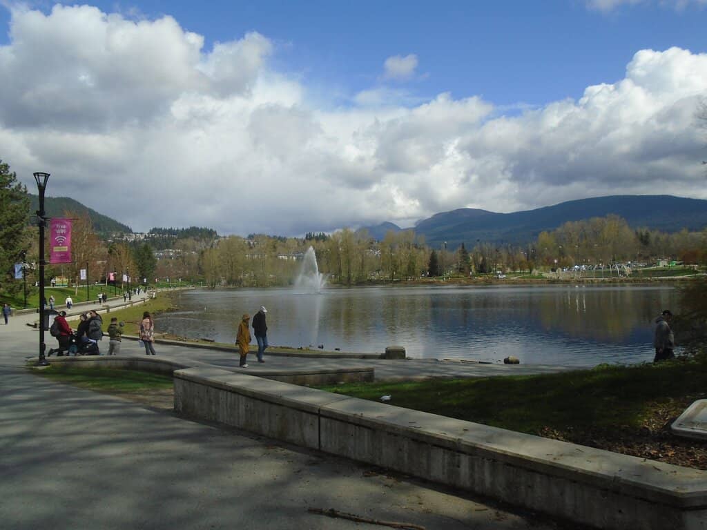 Holiday Light Display