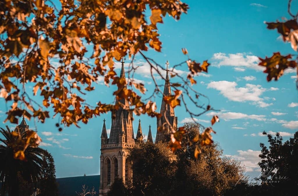 Vertical photo