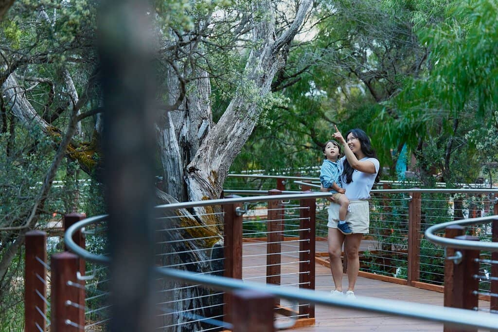 Nature Playground