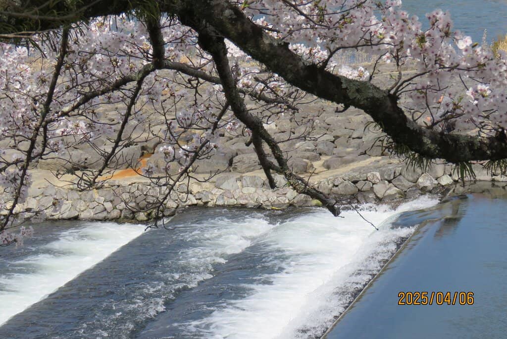 Uji River Park