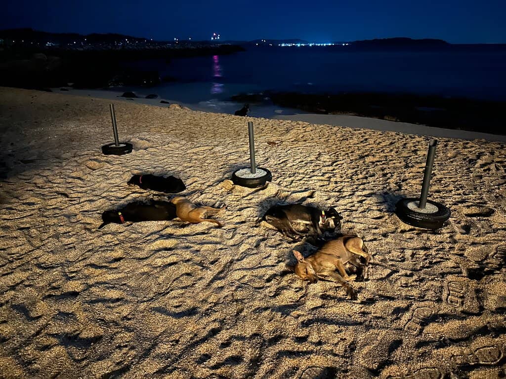 Crystal-Clear Waters