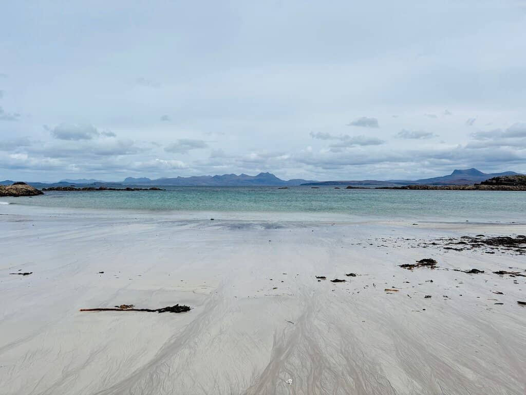 Wildlife Spotting Opportunities