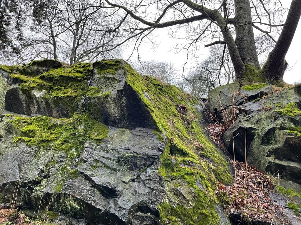 Renovated Playground