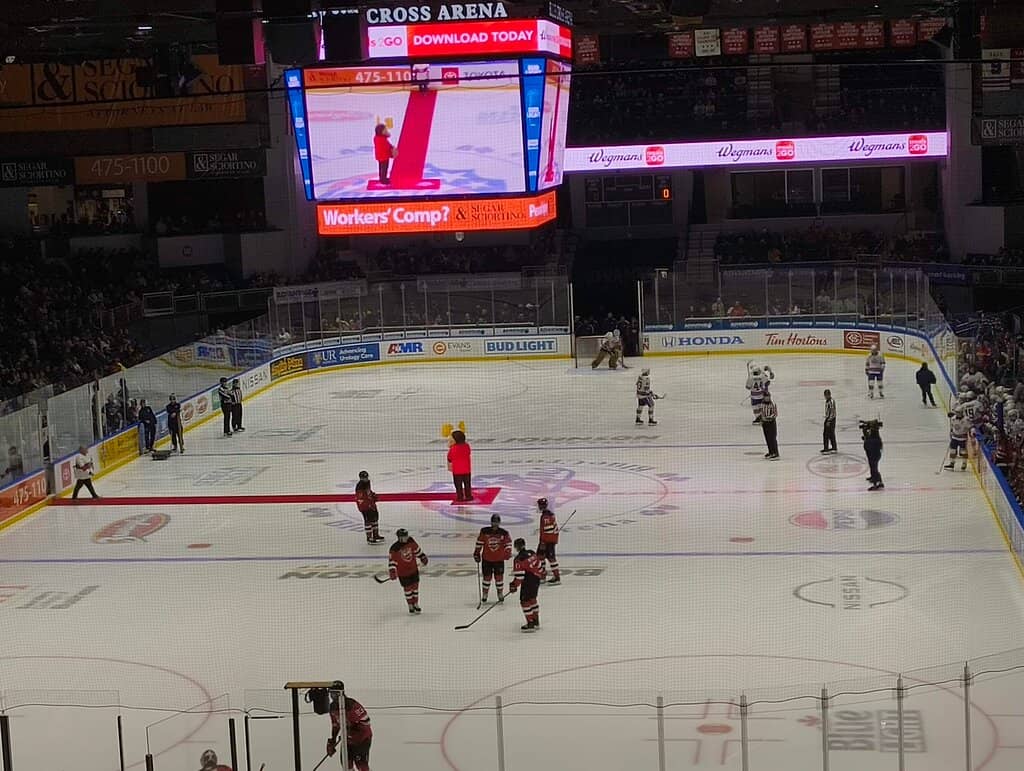 Concert Performances