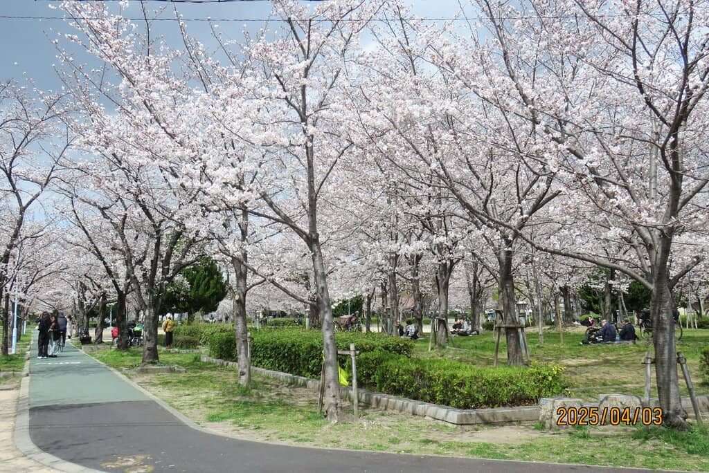Rose Garden