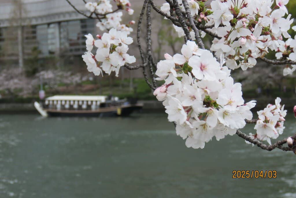 Riverside Promenade