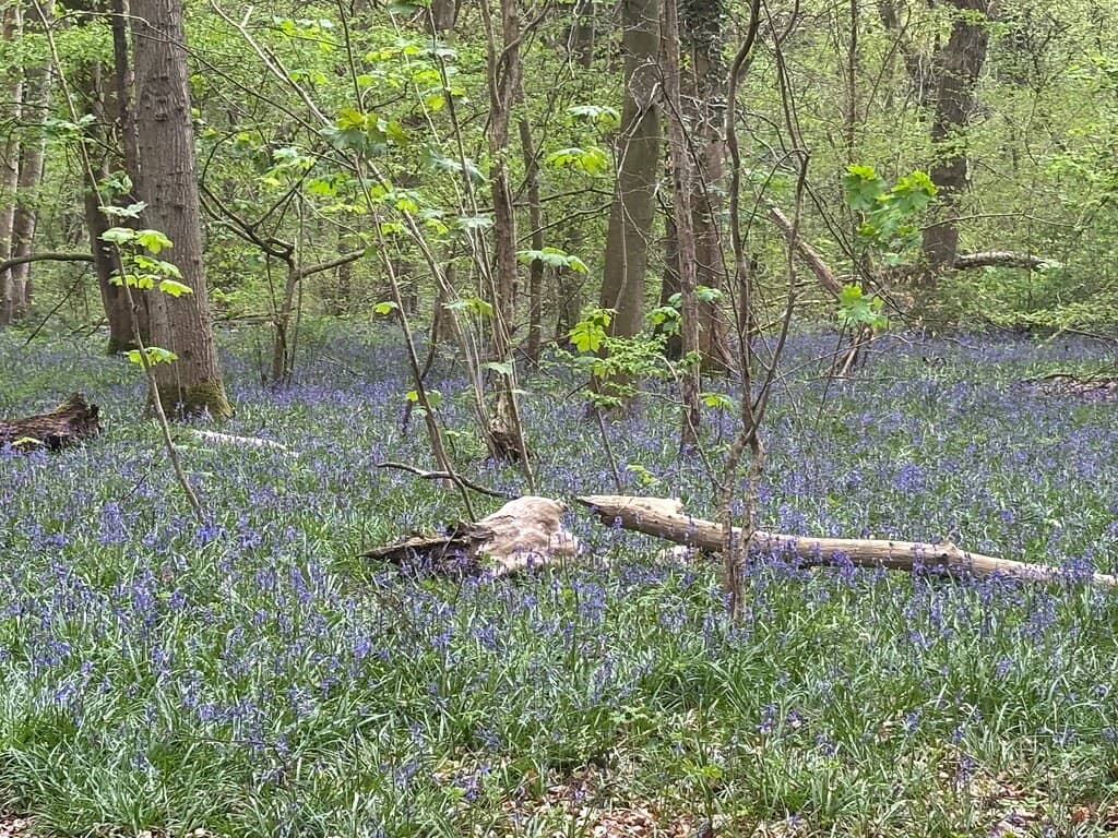 Nature Trails