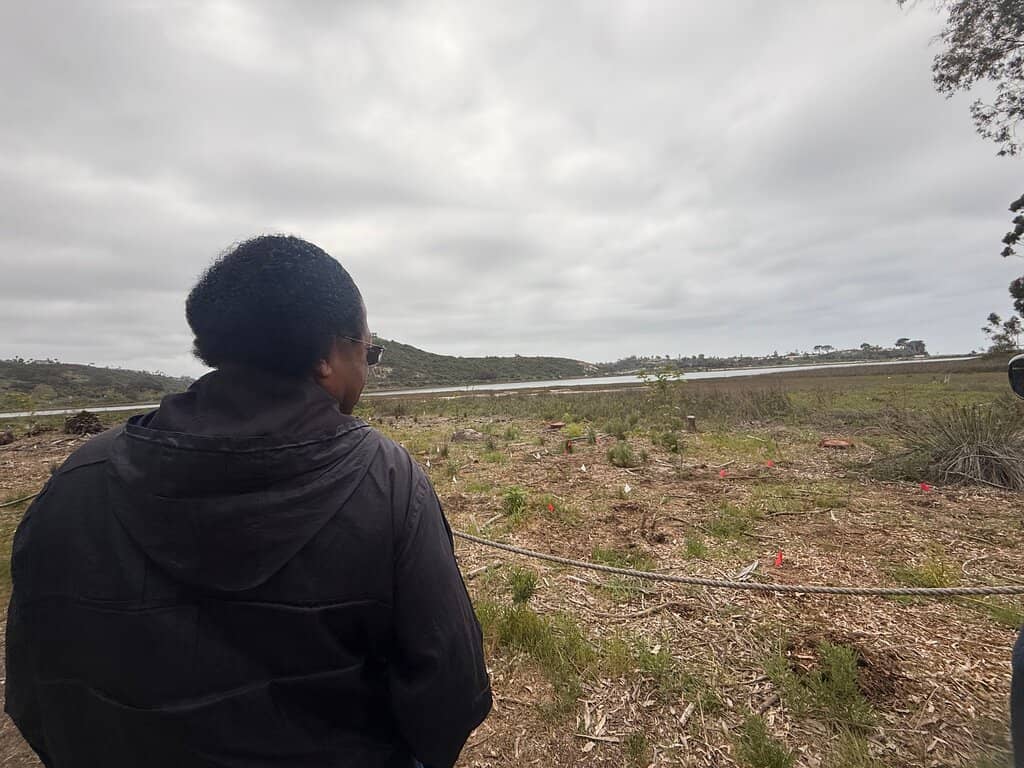 Wildlife Viewing