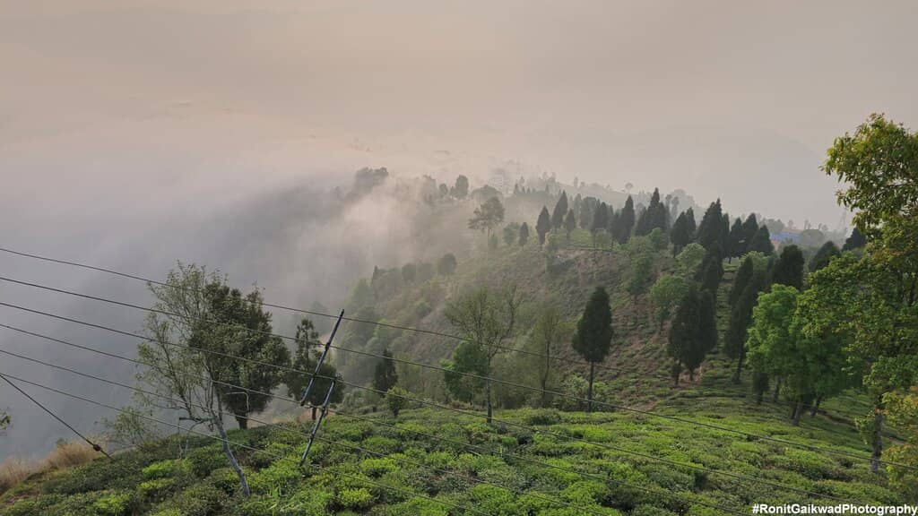 Panoramic Viewpoint