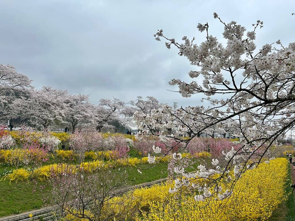 Riverside Stroll & Cycle Path