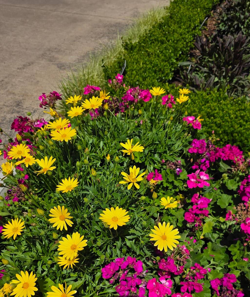 Peaceful Walking Paths