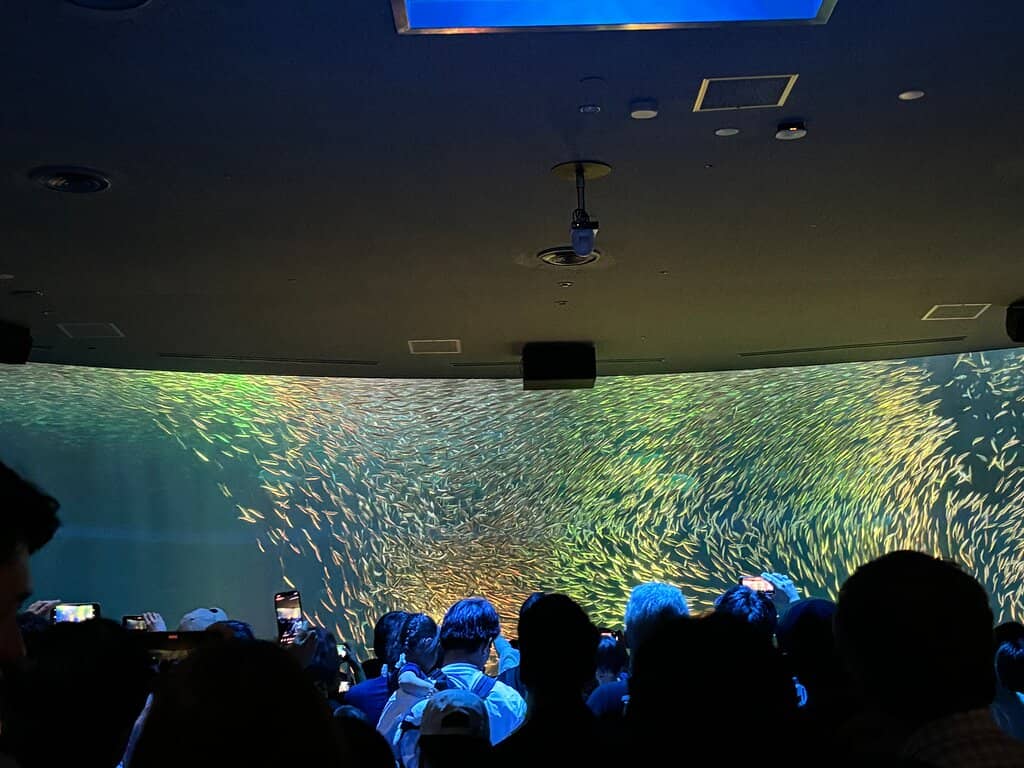 Penguin Paradise