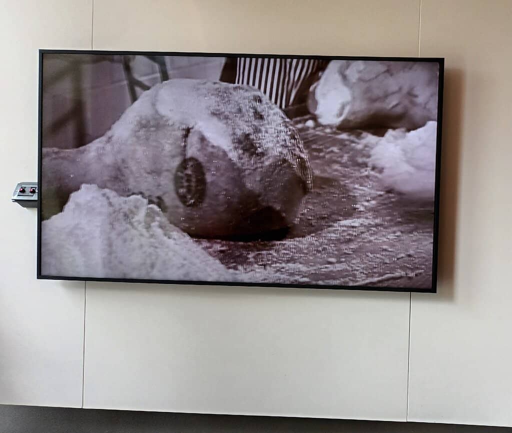 On-Site Restaurant Feast