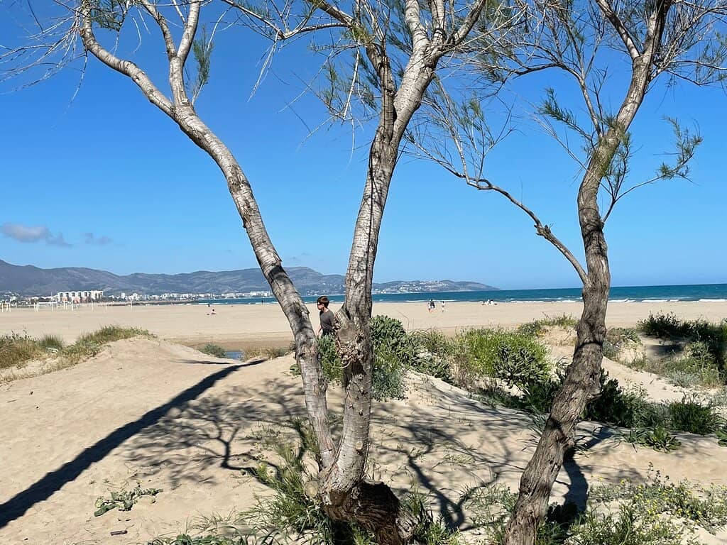 Fine Golden Sand