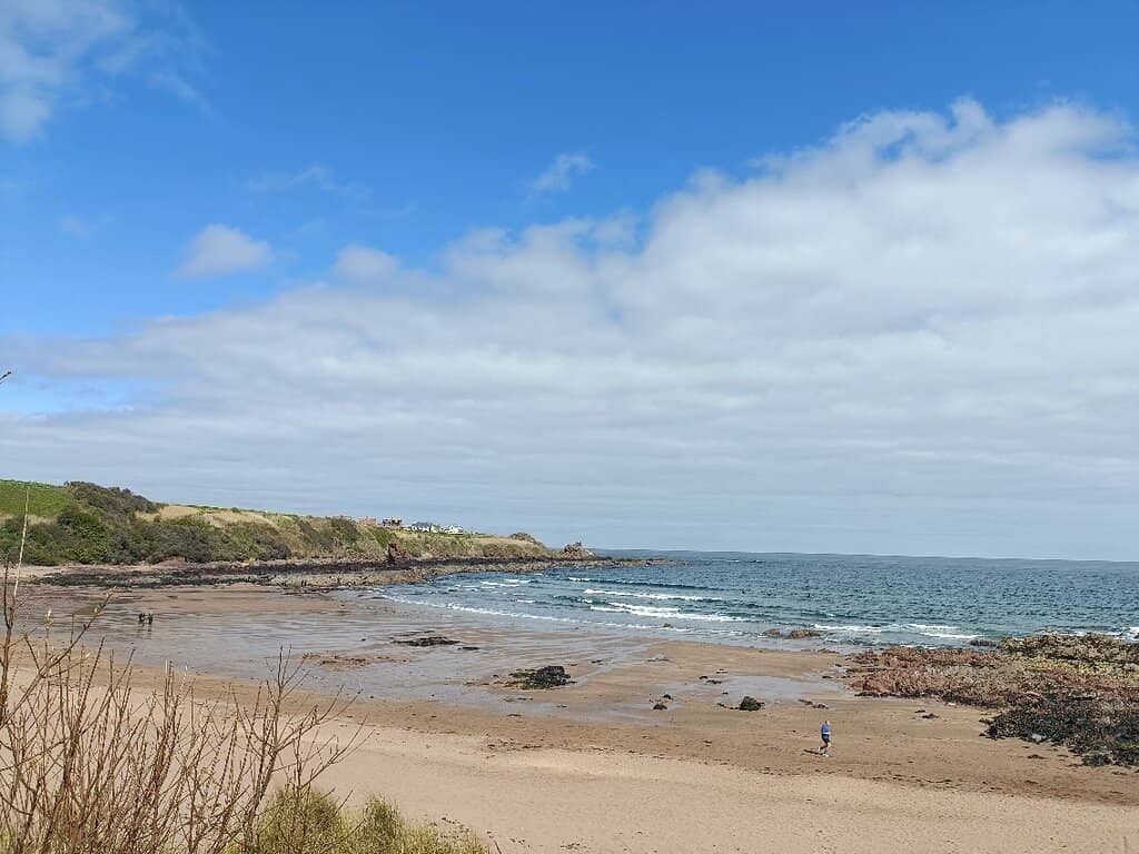 St Abbs Head Nature Reserve