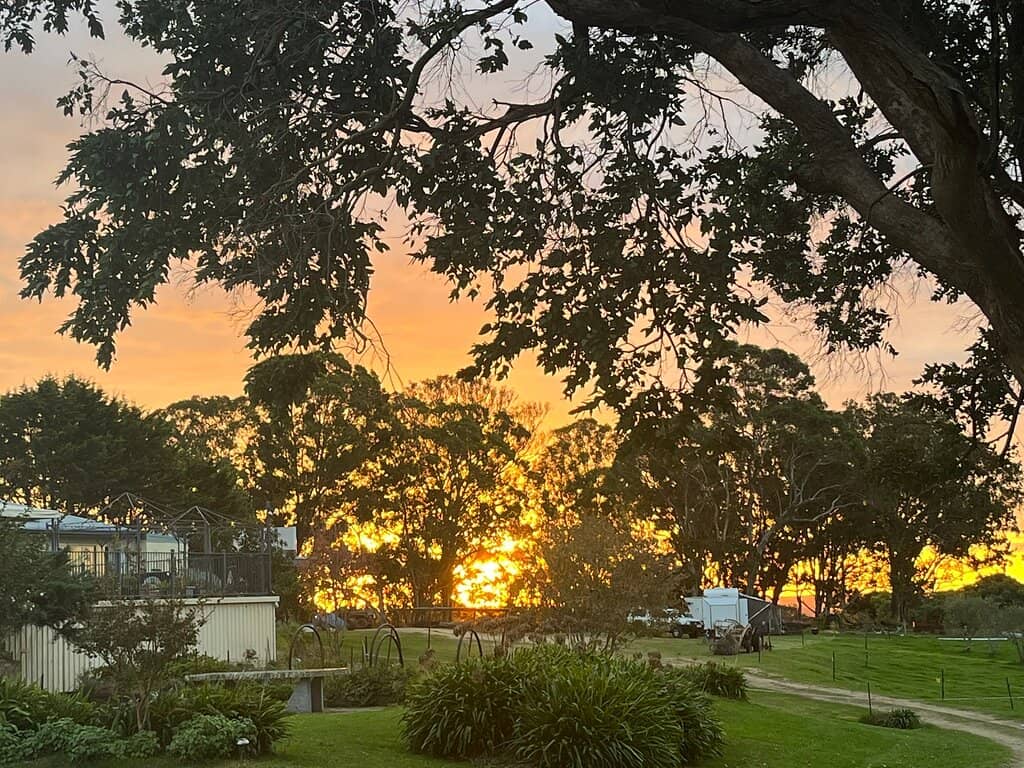 Farm Gate Shop & Cafe