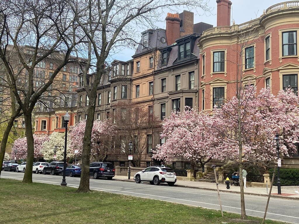 Commonwealth Park Picnic Spots