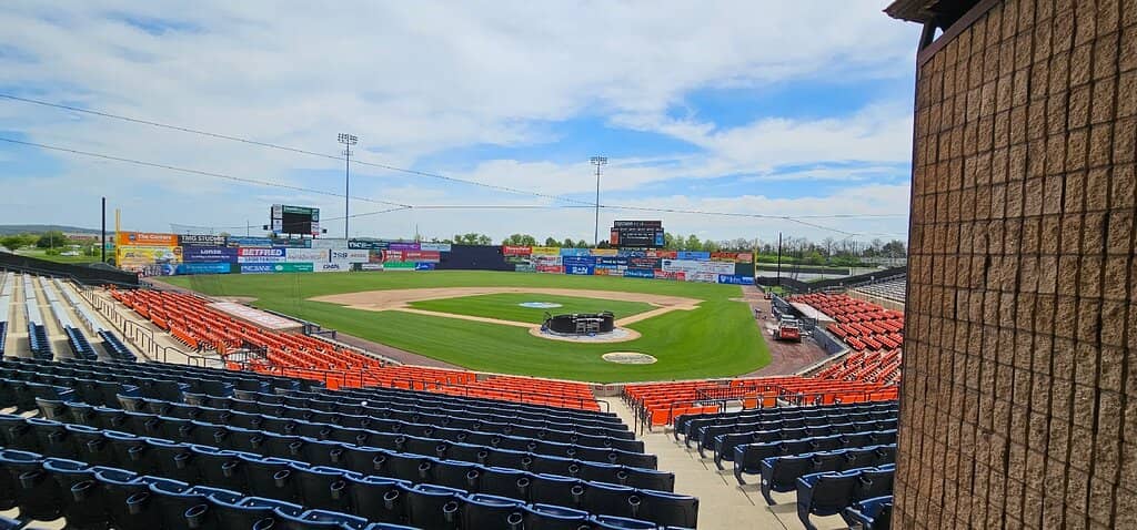 Themed Nights & Giveaways