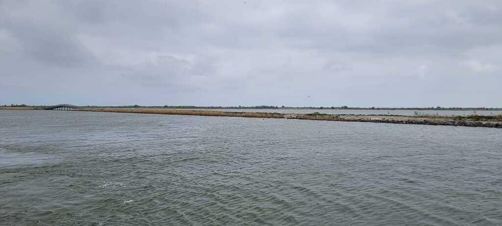 Underwater Observation