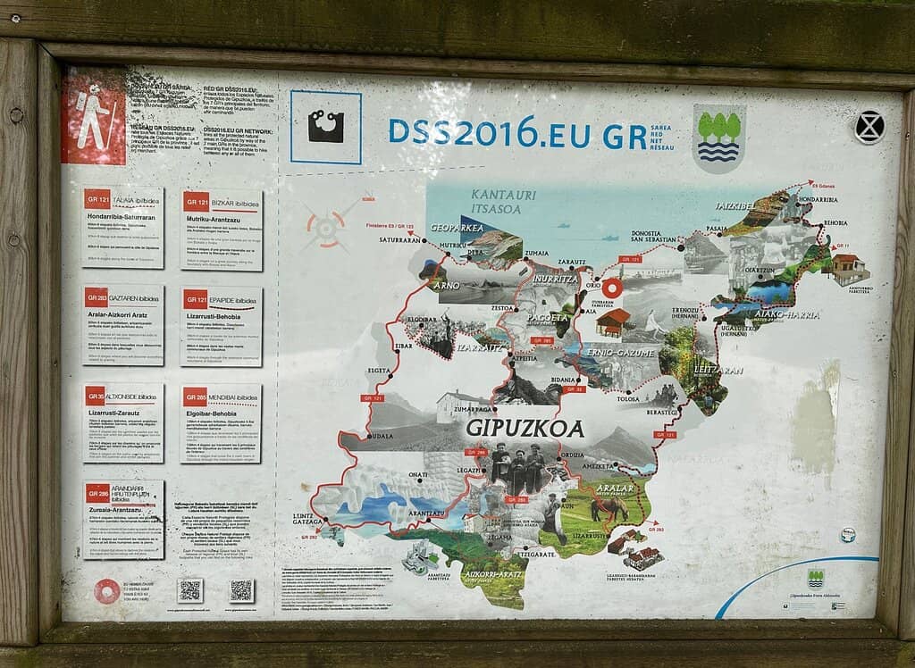 Forest Trails