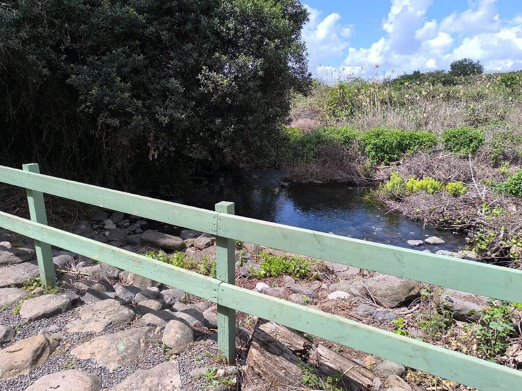 Jordan River Tributary