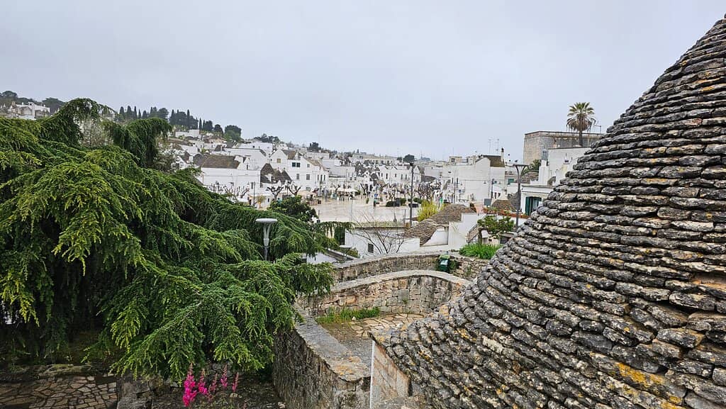 Themed Concerts & Shows