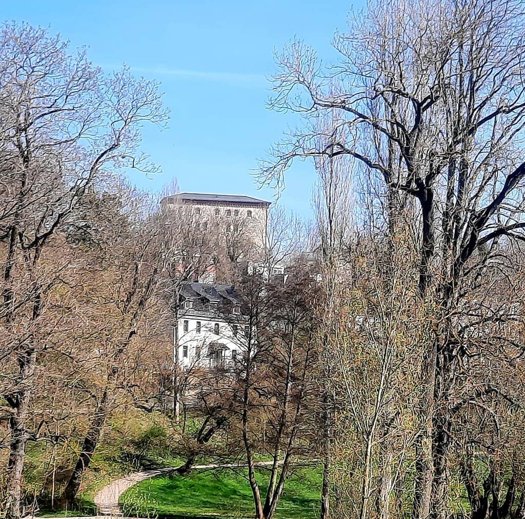 Vertical photo
