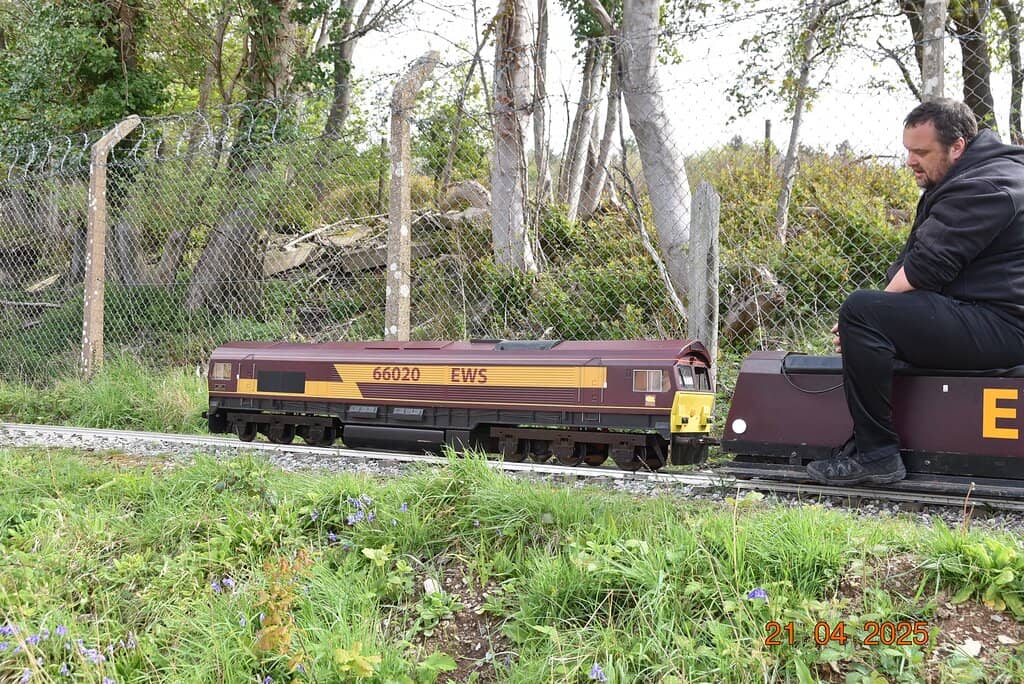 Birthday Party Experience