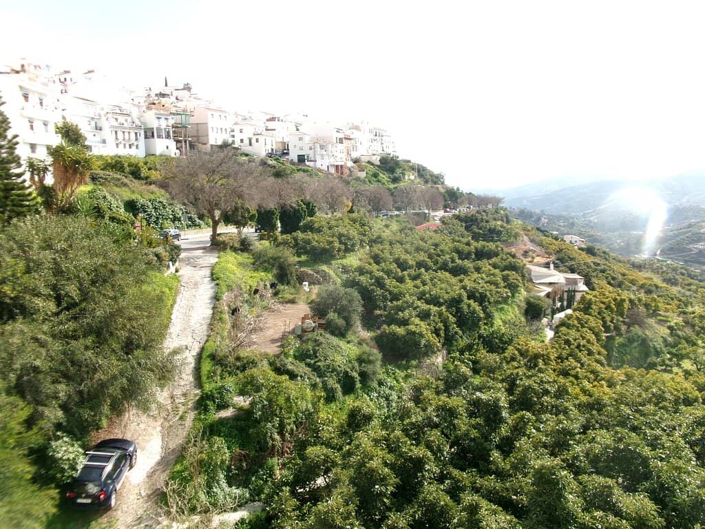 Vertical photo