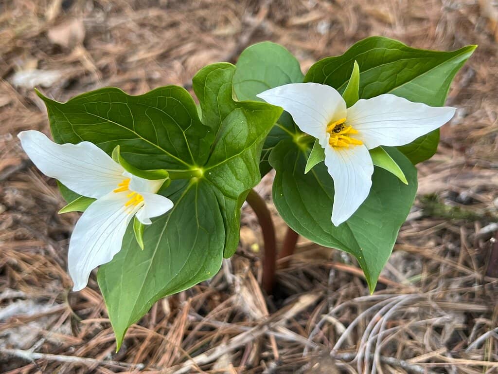 Behind the Waterfall Experience