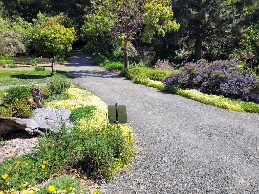 Fragrant Flower Section