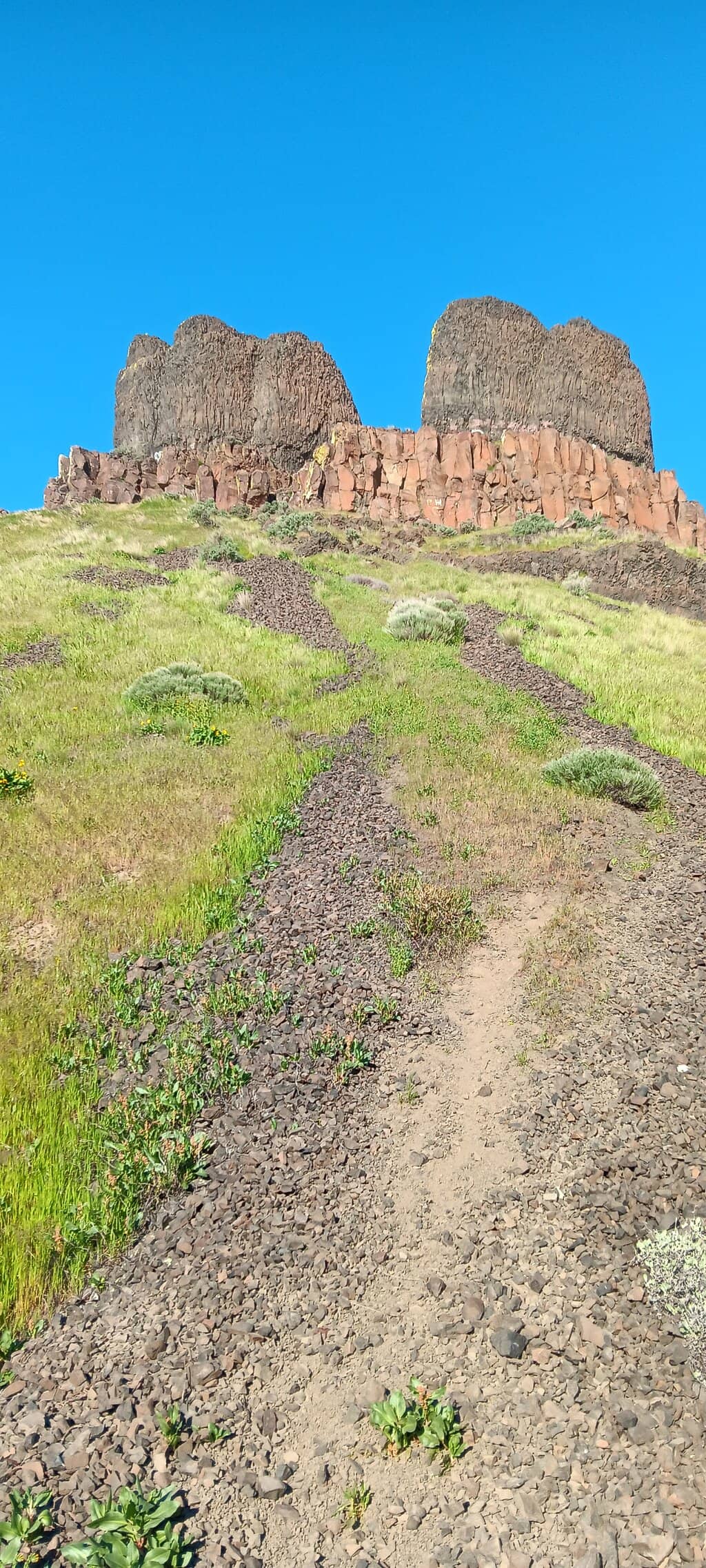 Vertical photo