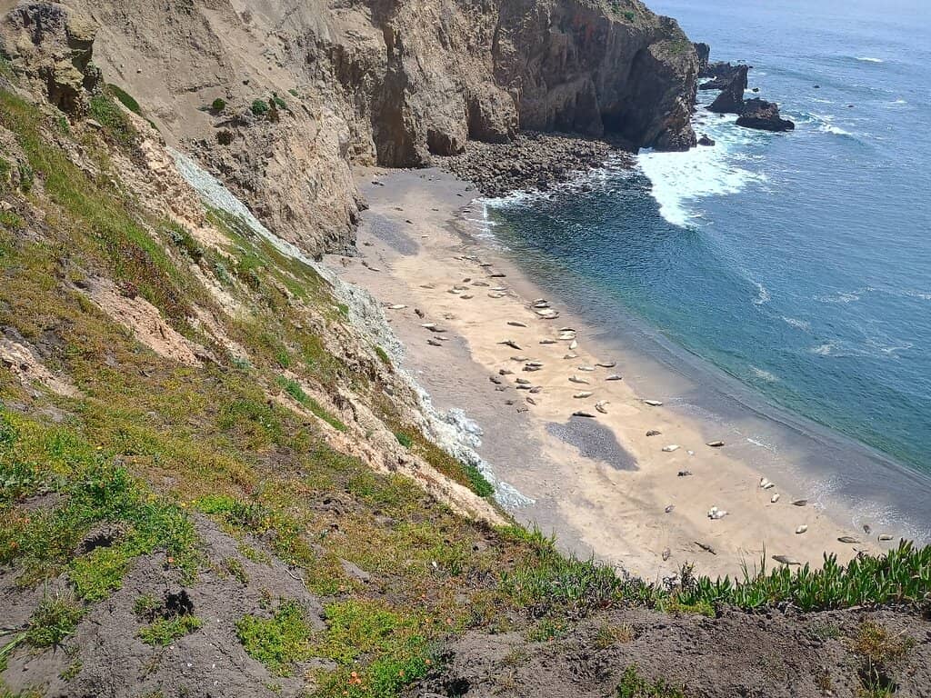 Airport Runway Vista