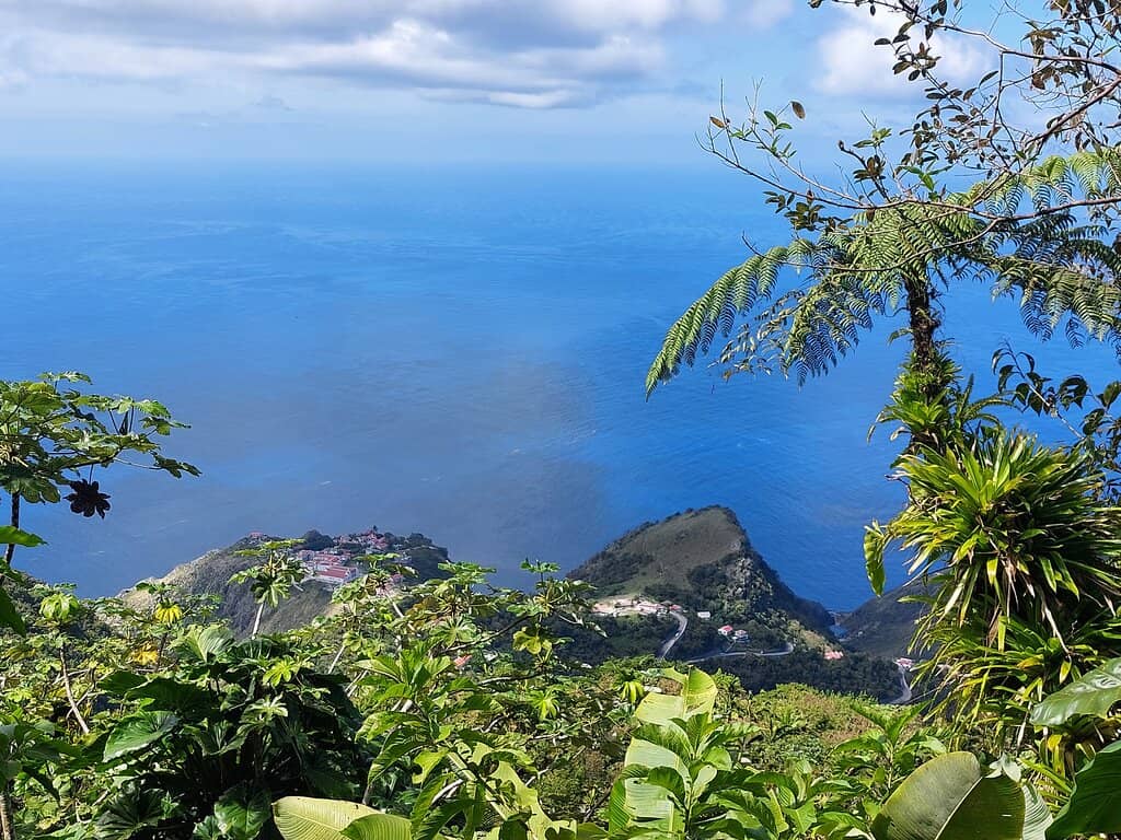 Panoramic Views