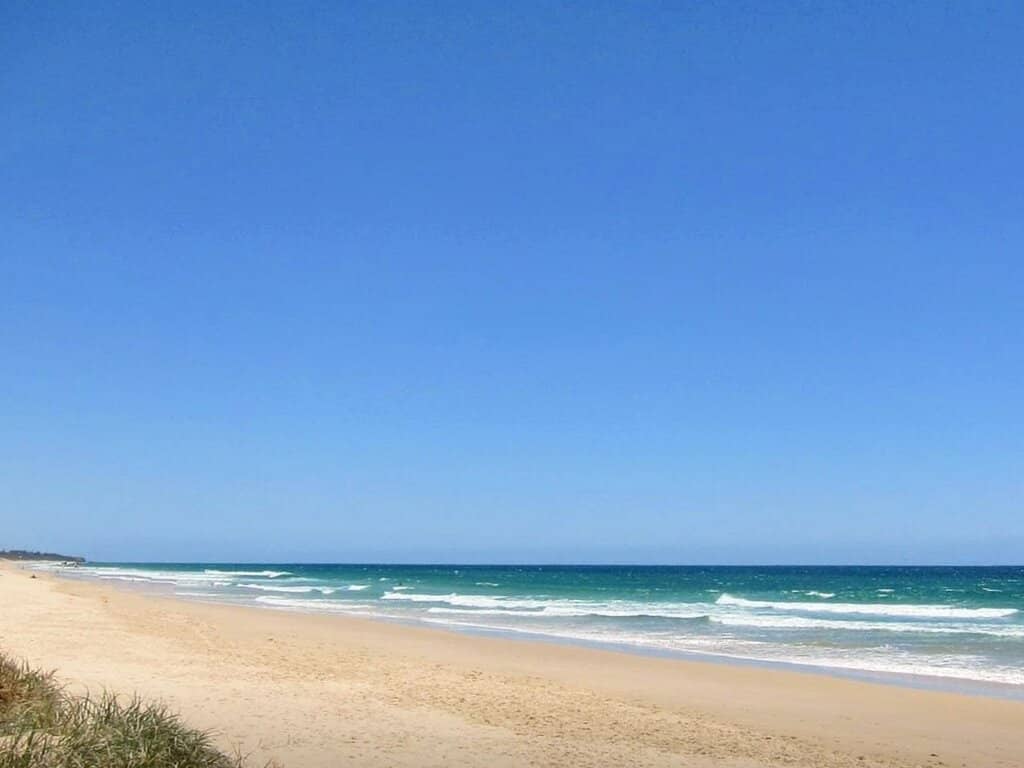 Whale Watching Wonders