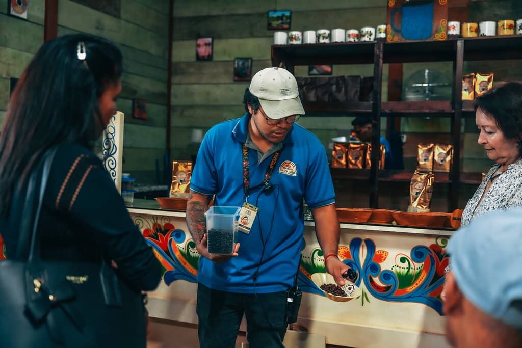 Panoramic City Views