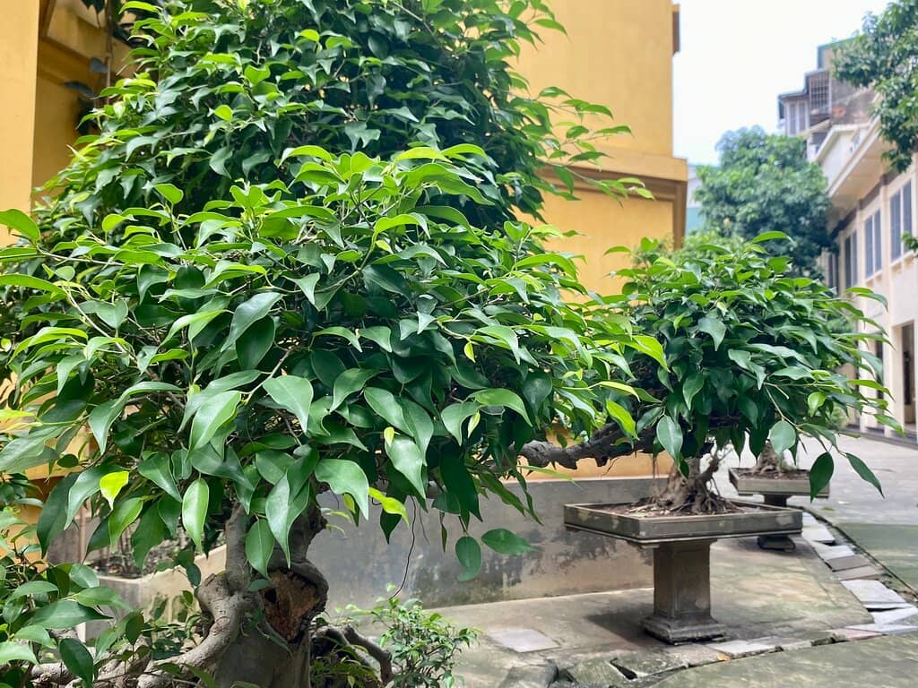 North Entrance Archway