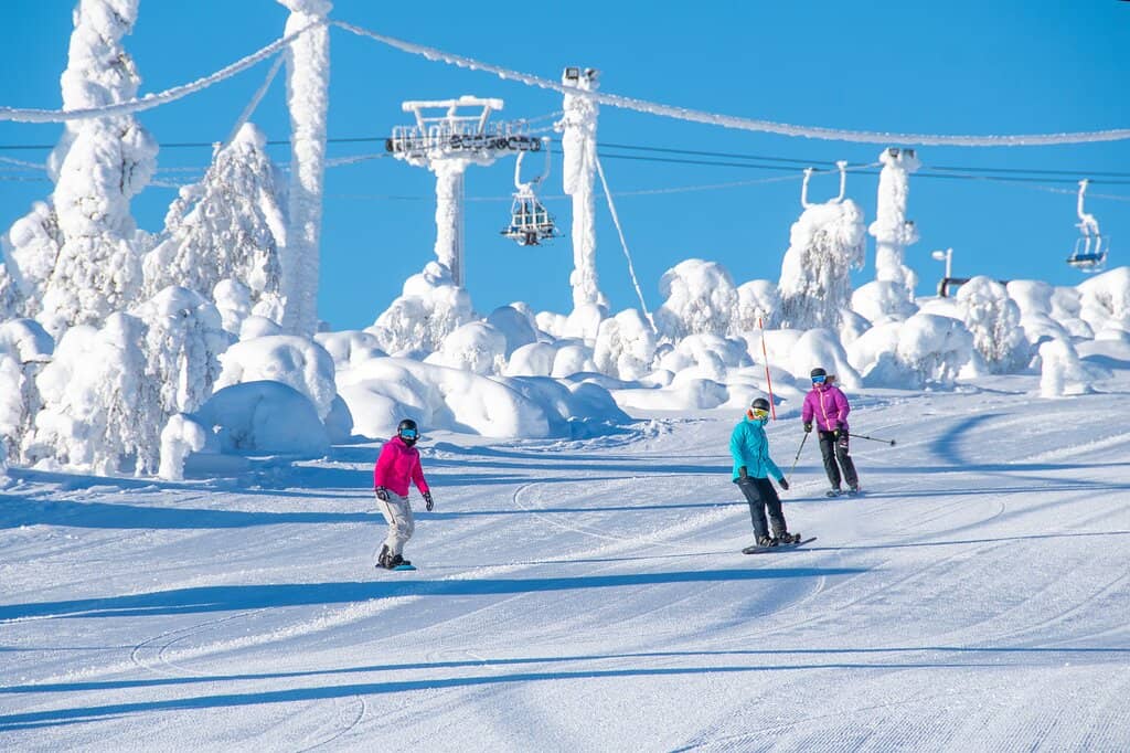 Toboggan Track Thrills
