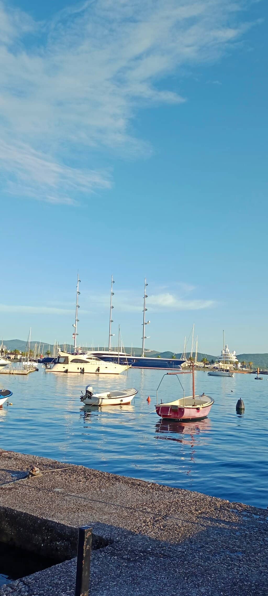 Soka Matsubara's Pine Tunnel